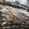 Wet Salted Cow Hides - Image 3