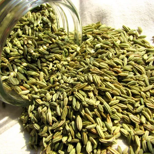 lgzs-real-080fde8ecd4120ab936bafac Fennel seeds - Image 1