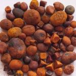 Cow Ox Gallstone