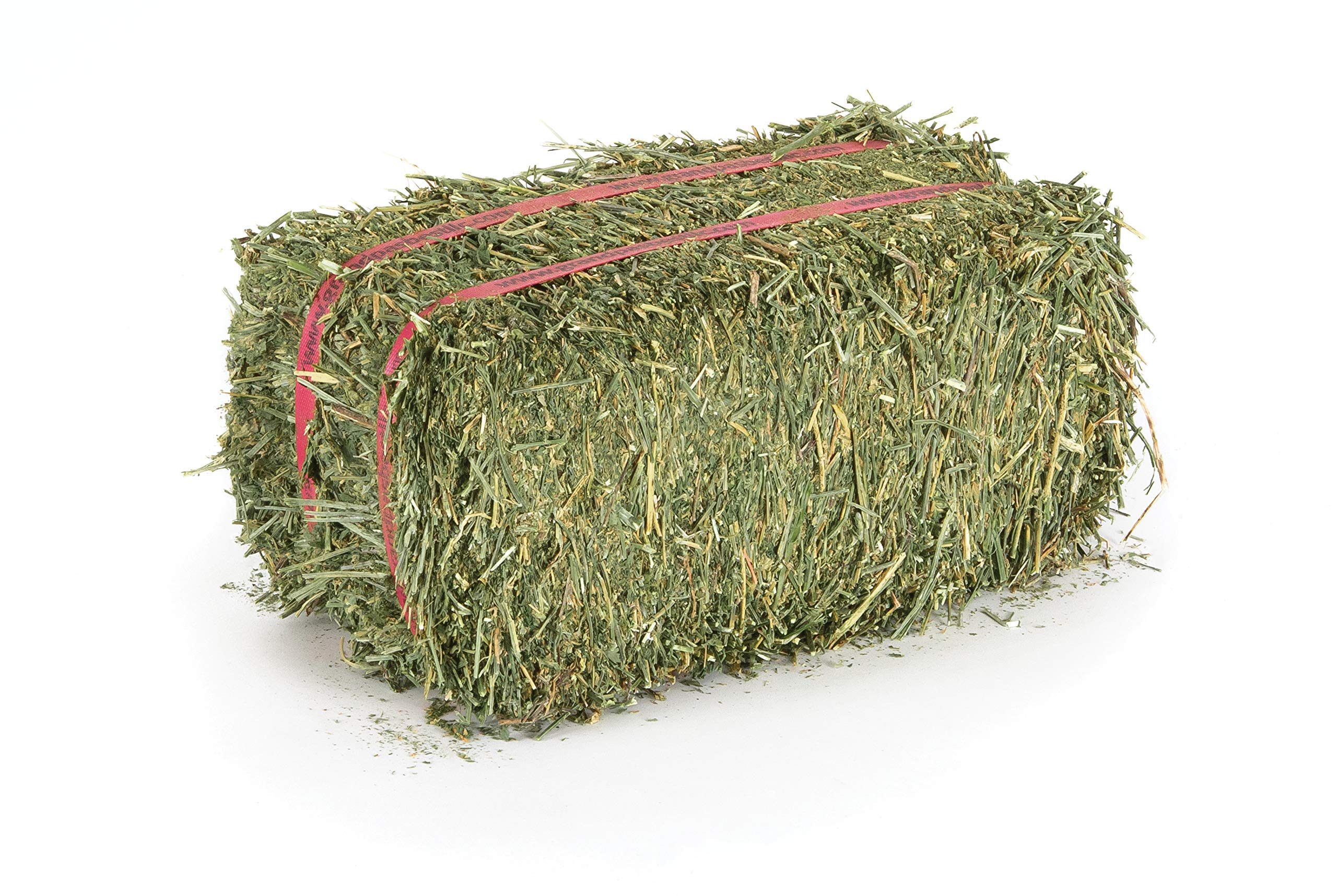 Version 1.0.0 ALFALFA HAY - Image 1