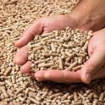 Wood Pellets Briquettes