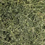 ALFALFA HAY - Image 3