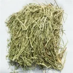 ALFALFA HAY - Image 4