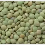Lentils