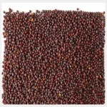 Mustard Seed