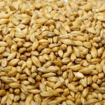 Pearl Barley