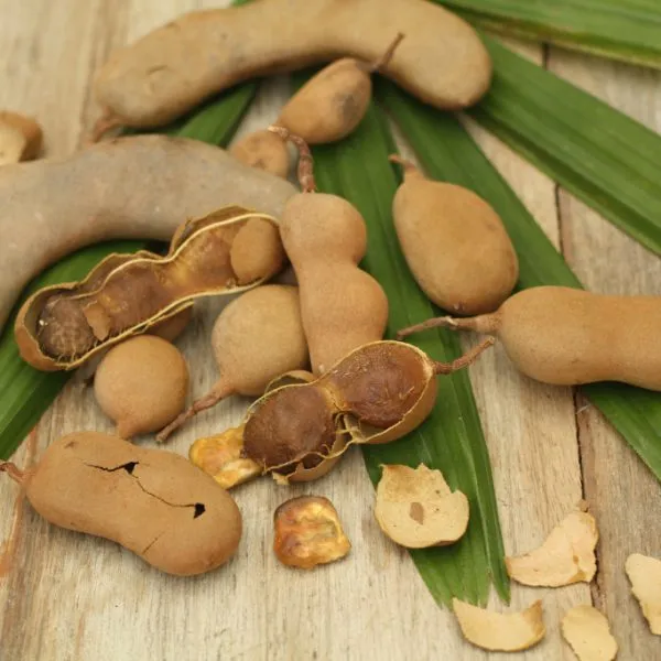 lgzs-real-f310349db3e803ea4cfbad01 Tamarind - Image 1
