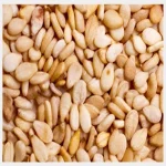 Sesame seed